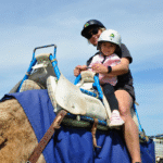 camel-rides-3-port-elliot-show-2024
