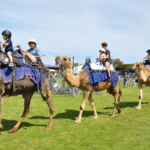 camel-rides-4-port-elliot-show-2024