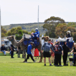 camel-rides-port-elliot-show-2024