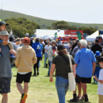 shows-stalls-port-elliot-show-2024