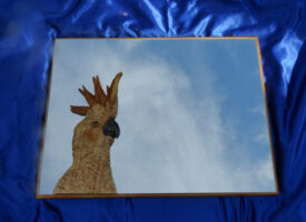 chris-reid-woodworking-port-elliot-show-2